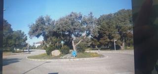 Ground floor in Maioris-Puig de Ros. Excelente vivienda en residencial en maioris