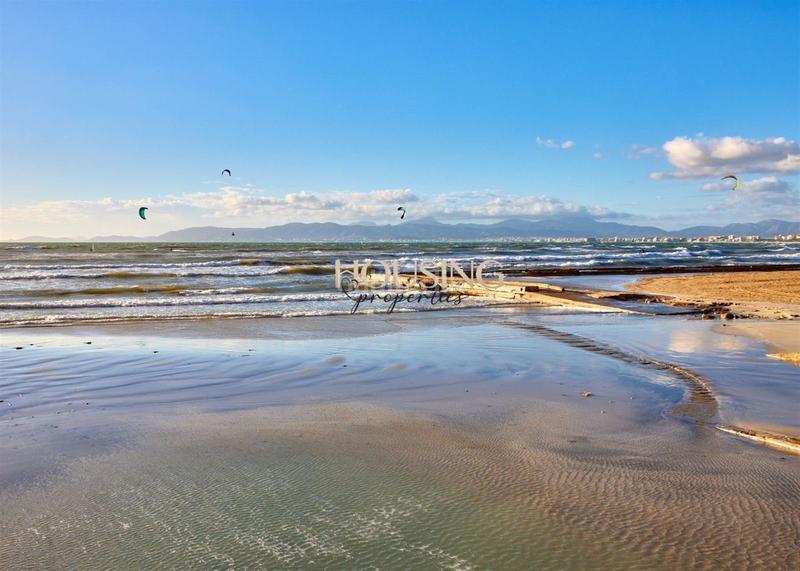 Foto ee1cf1df-bbd9-4f1f-a5e3-f5c7f4c05cfa. Àtic a S´Arenal Palma de Mallorca