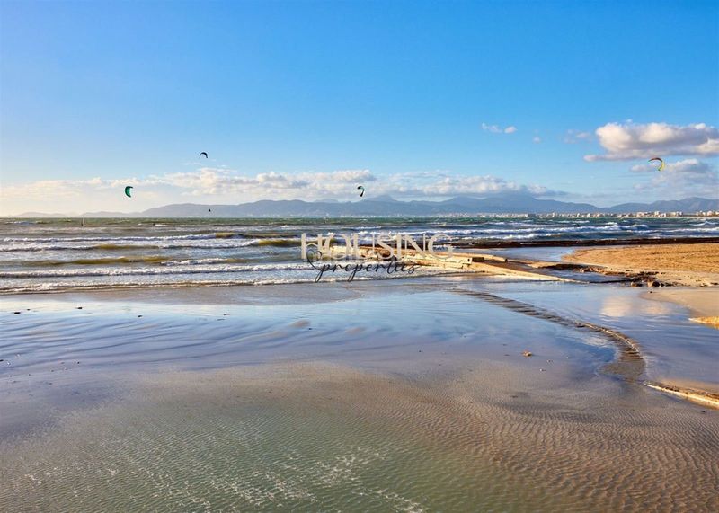 Foto ea93682e-78f4-4646-86ba-8be5b6042657. Àtic a S´Arenal Palma de Mallorca