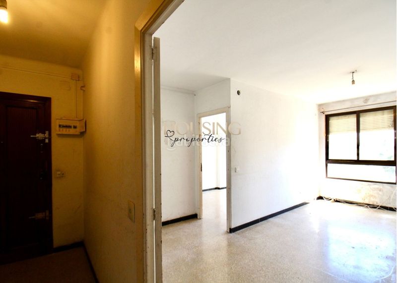 Foto 7ca63923-d124-4084-9a04-a3e62d27b03a. Pis a Plaça de Toros Palma de Mallorca