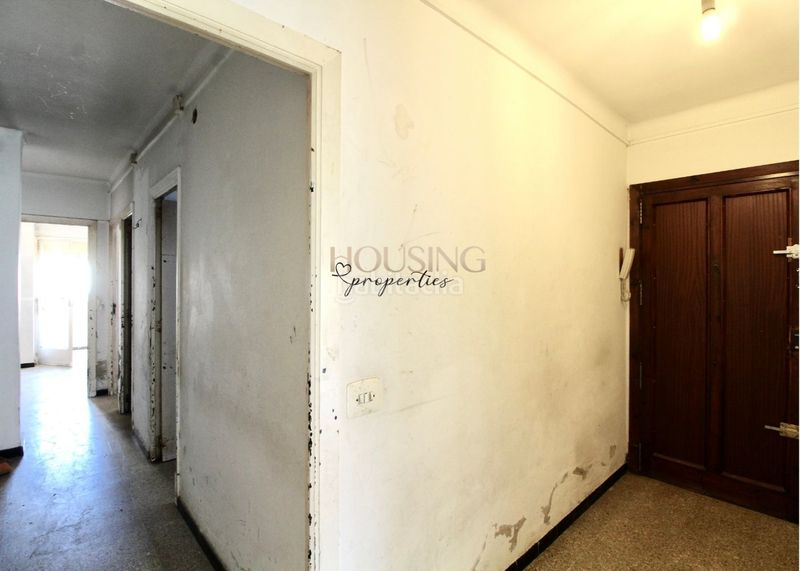 Foto f85094a0-8345-4e8b-88d6-0f91fe90fa8d. Pis a Plaça de Toros Palma de Mallorca