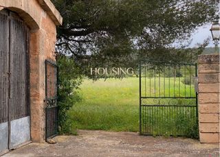 Masia a Son Ferriol. Amplia finca rustica en zona sa casa blanca.