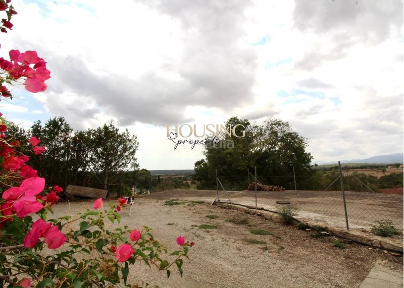 Foto a958a377-5e83-41a7-9e9a-2decda1130df. Masia amb aparcament a Costitx