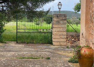 Masia a Son Ferriol. Amplia finca rustica en zona sa casa blanca.