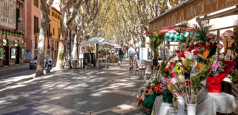 Foto 0e01c849-adf4-4955-aa11-4b0756e5df6d. Edifici a La Missió Palma de Mallorca