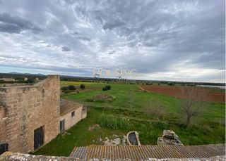Masia a Son Ferriol. Amplia finca rustica en zona sa casa blanca.