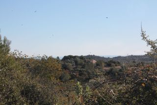 Terreno residencial en Calle san roque 10. Finca, vistas al mar y montaña, licencia y planos, agua, calig,