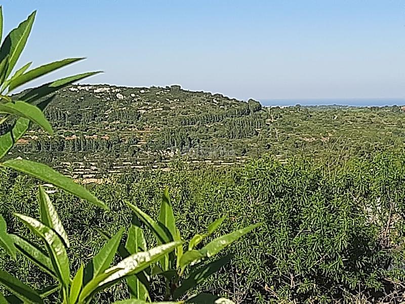 Foto af190599-9681-4186-9c76-b9af127c4675. Terreno residencial en Cervera del Maestre