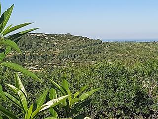 Residential Plot  N/a