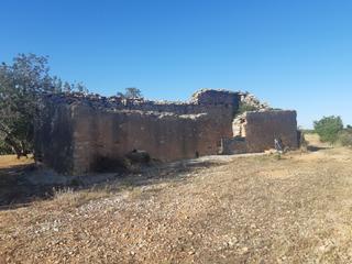 Terreny residencial a Pueblo. Finca rustica para 2 chalets, benicarló, comunidad valenciana, e