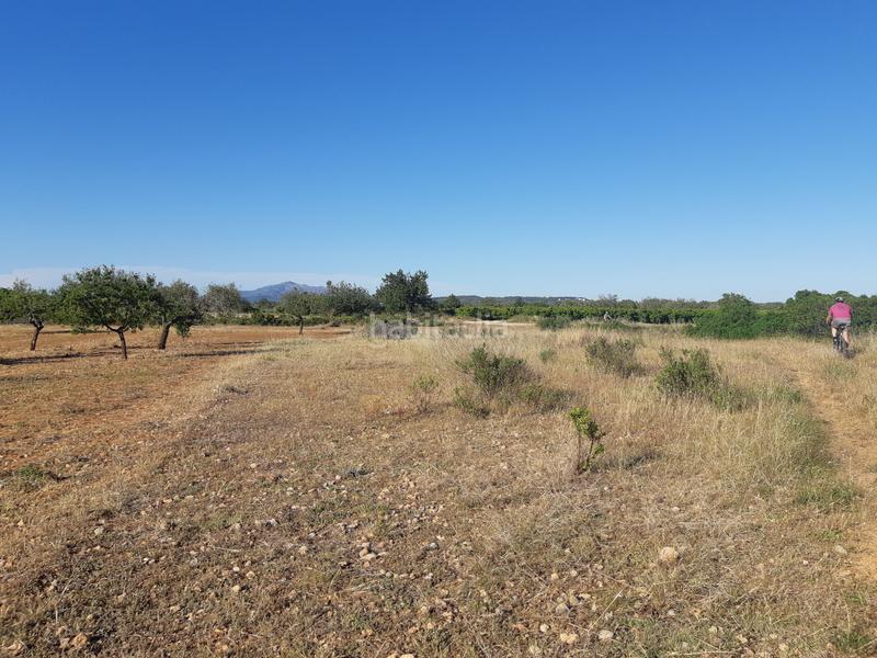 Foto 17abd13b-6346-47d0-bc5a-6bb338906f08. Terrain résidentiel dans Pueblo Benicarló