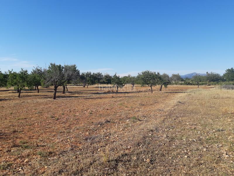Foto 1a41451f-b409-4941-a5e0-7538a001f563. Terrain résidentiel dans Pueblo Benicarló