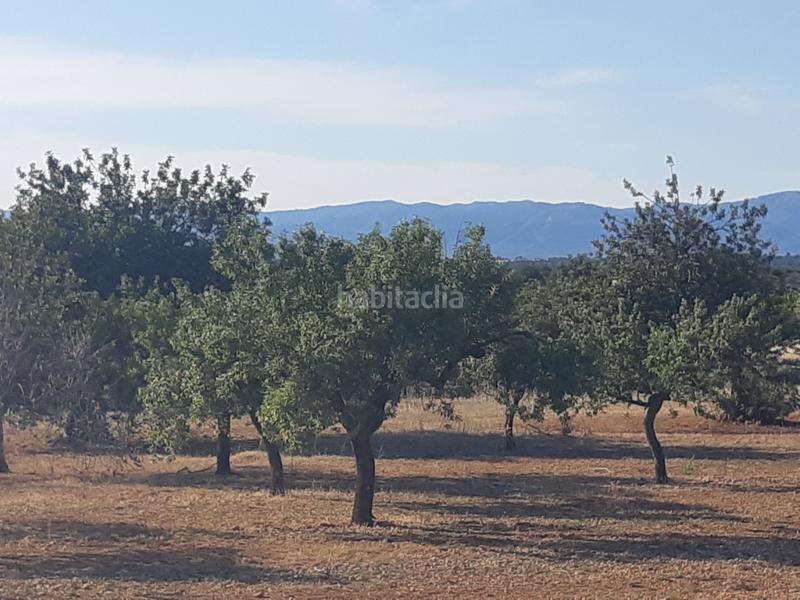 Foto 2560ed20-fdf8-4733-a180-804026dc780a. Terrain résidentiel dans Pueblo Benicarló