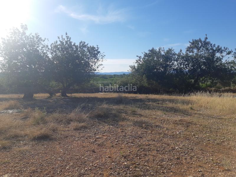 Foto 4edbd5ee-e0b3-4c49-be2e-532967049e3e. Terrain résidentiel dans Pueblo Benicarló