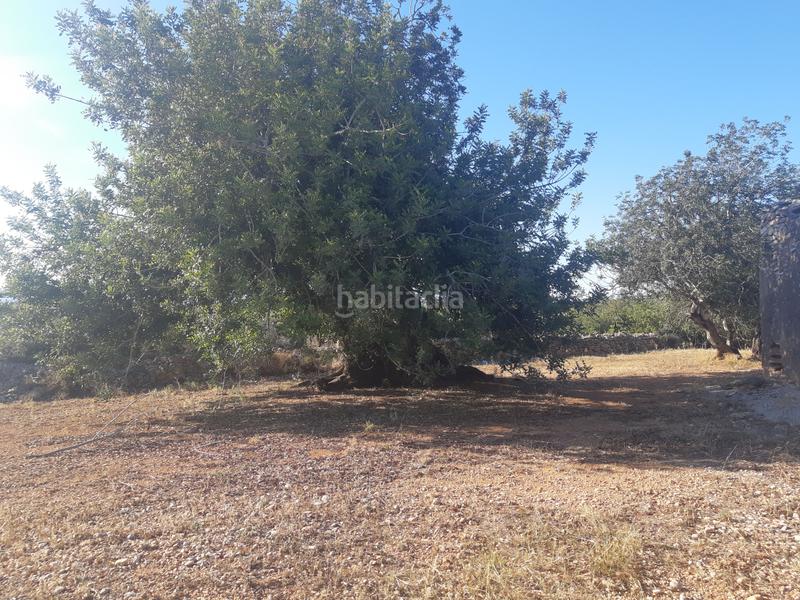 Foto c4a4d2c3-0eb2-4169-aebf-feb3fde2d807. Terrain résidentiel dans Pueblo Benicarló