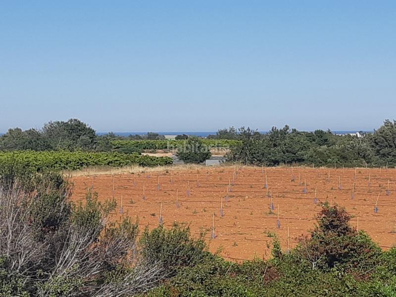 Foto e00c59f1-7357-4679-81a9-e00add09a174. Terrain résidentiel dans Pueblo Benicarló