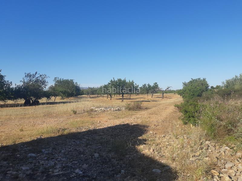 Foto e3053e5a-50ff-4e7c-9f17-0e56f40e6dfd. Terrain résidentiel dans Pueblo Benicarló