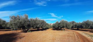 Xalet a Cálig. Chalet, obra nueva, piscina, vista al mar, càlig, costa azahar,