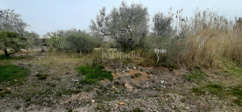 Foto 95639235-f5e8-4de5-a262-97455b3d3f01. Wohngrundstück in Costa Norte Vinaròs