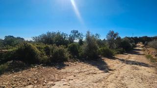 Finca rústica a Cervera del Maestre. Finca con agua, cervera del maestre, costa azahar, españa