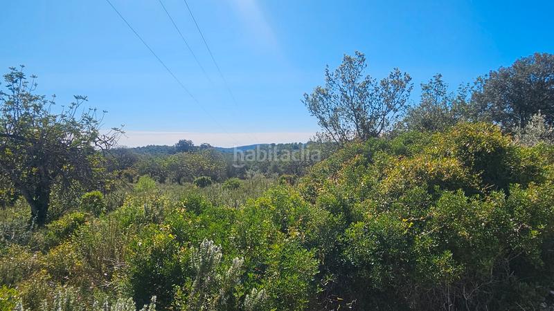 Foto 1eaec5ed-b3dd-41c1-9bd4-083c8eb177a1. Fondo rustico in Cervera del Maestre