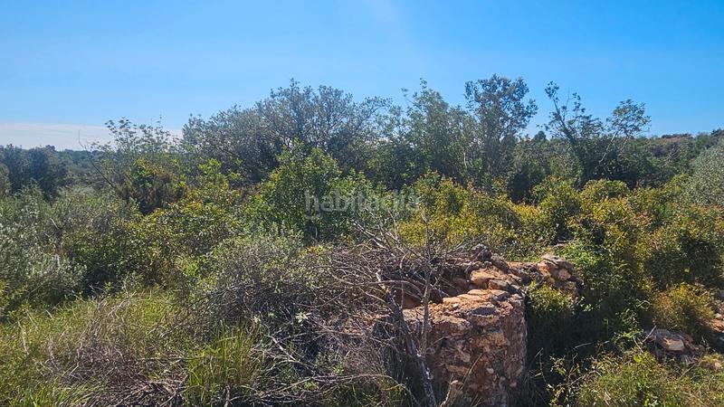 Foto 4bc7363f-55c1-4898-8a41-7414420024b3. Fondo rustico in Cervera del Maestre