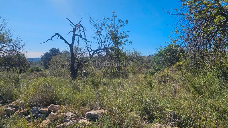 Foto 6899e403-889d-4f36-94b2-11d4530203e7. Fondo rustico in Cervera del Maestre