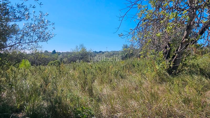 Foto 8365f339-d6a8-40c0-9758-e5fa0df8fc86. Fondo rustico in Cervera del Maestre