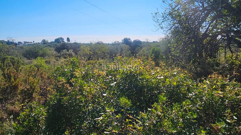 Foto a68dc662-e43d-4075-a581-e65c92d6e0c6. Fondo rustico in Cervera del Maestre
