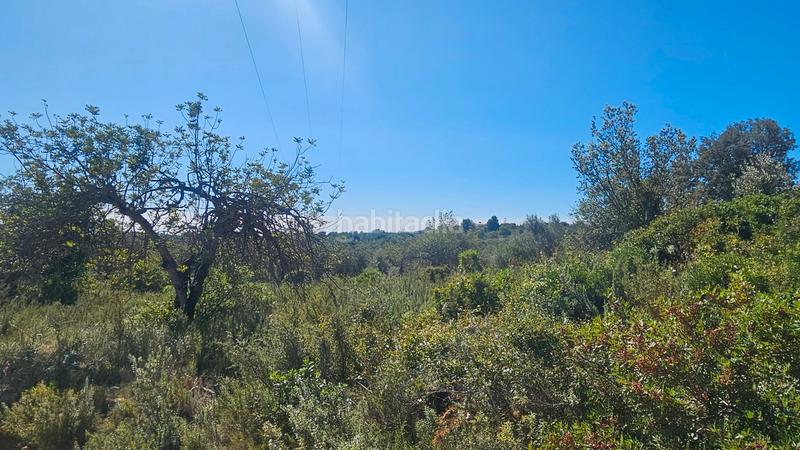 Foto a9024044-171c-4180-9ff5-dcabc7365f90. Fondo rustico in Cervera del Maestre