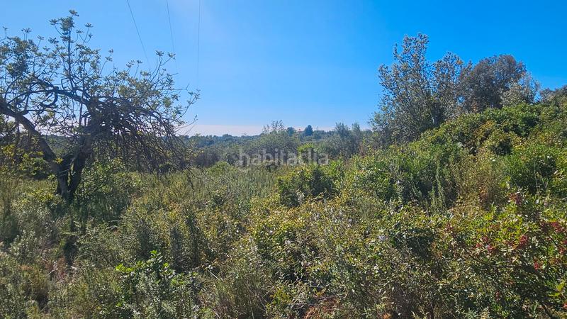 Foto eef06618-4f97-4297-a1db-ace6a113e92b. Fondo rustico in Cervera del Maestre