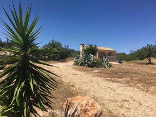 Masia a N/a. Finca con chalet, càlig, vista al mar, costa azahar, comunidad v