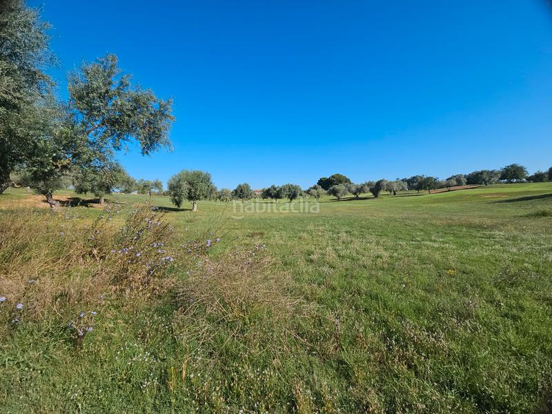 Foto 14683b5f-5d09-4264-af26-d3abc710146a. Residential plot in San Jorge