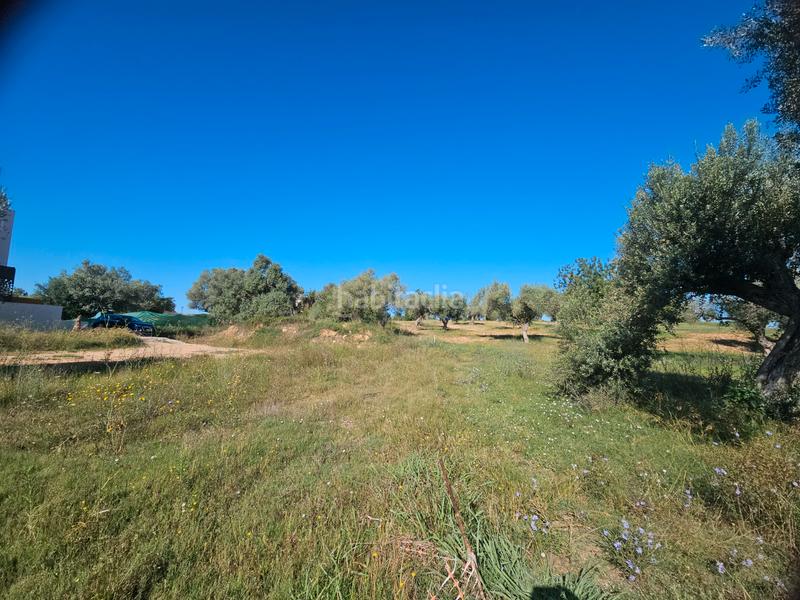 Foto 3cfe54c9-c310-48a8-9667-4c8cd34bf7ec. Residential plot in San Jorge