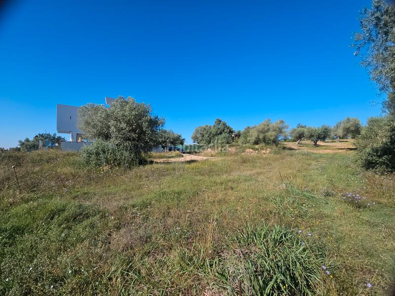 Foto 5f103f93-af98-43e5-bbf9-dad124a609a4. Residential plot in San Jorge