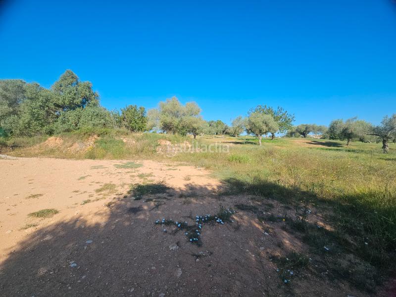 Foto aba8d1f2-5d4b-4bc2-9257-f27de3cca07d. Residential plot in San Jorge
