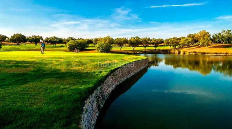 Foto c60ff7e3-9cc1-4d2b-9fe4-5b0e96b7d771. Residential plot in San Jorge