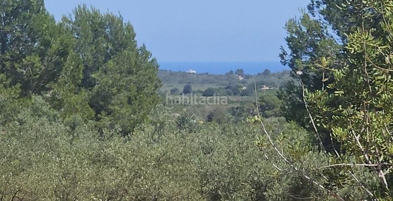 Foto 970214f0-7dfa-43a1-ad5a-486dd2ce1bf6. Finca rústica a Cervera del Maestre