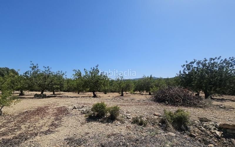 Foto dcc2e6e1-d174-4c13-8e6f-57701912213b. Finca rústica a Cervera del Maestre