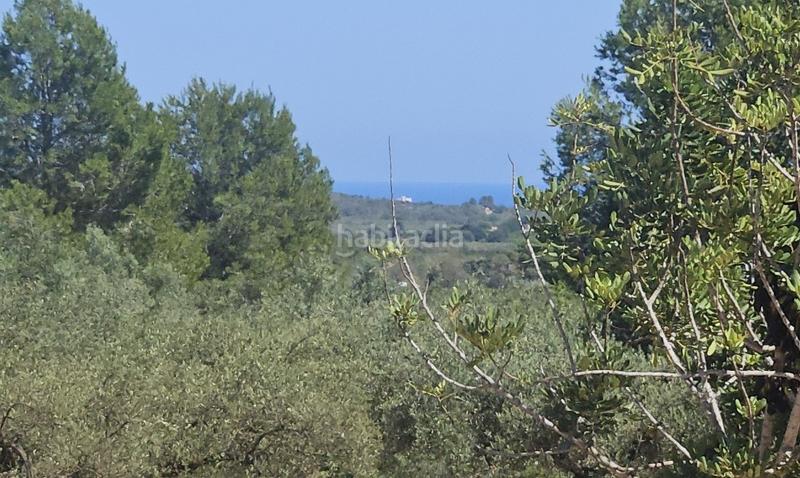 Foto f39ff34b-6664-4d66-a6b4-0e85fe79ff7e. Finca rústica a Cervera del Maestre