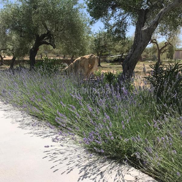 Foto 30aed1f4-60e4-4064-987a-a90abd10617d. Casale con camino riscaldamento parcheggio piscina in San Jorge