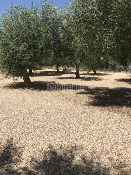 Foto 69003167-0100-4511-ab4d-3ba334dd0258. Casale con camino riscaldamento parcheggio piscina in San Jorge