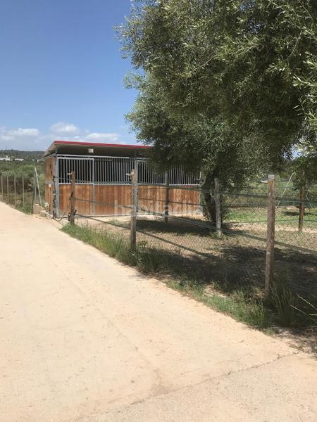 Foto c3cf0fb8-c7cf-4819-9a4c-fc81a940f347. Casale con camino riscaldamento parcheggio piscina in San Jorge