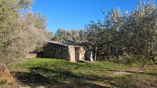 Finca rústica  N/a. Finca rustica, casetas, olivos, algarrobas, san rafael del rio,