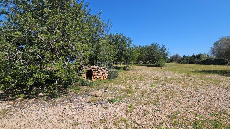 Foto dcde4c8c-0a31-444d-adb2-174f511fd427. Propriété dans Partidas de Interior - Zona Rústica Vinaròs