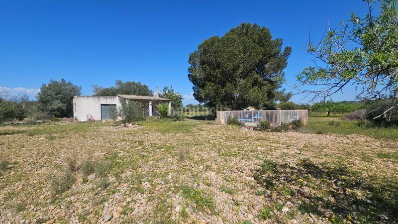 Foto e3517bd6-feef-4091-93e2-aa897fec5a3a. Propriété dans Partidas de Interior - Zona Rústica Vinaròs