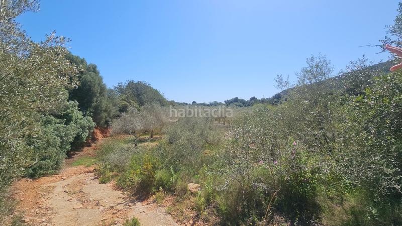 Foto fafa3a27-798a-473c-83ef-e3343dd9b347. Propriété dans Partidas de Interior - Zona Rústica Vinaròs