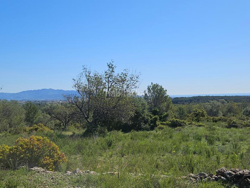 Foto 81096ce4-a45a-4159-87e7-d97ac410eb48. Landgut in San Jorge