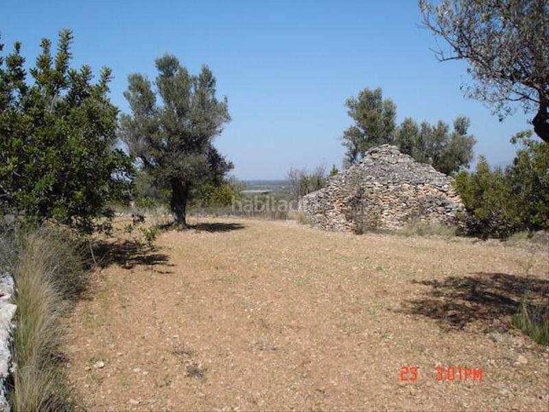 Foto 8e05585a-1a83-4737-963f-86a7ed7c6258. Landgut in San Jorge