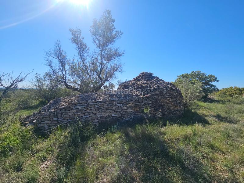 Foto ac5bb8ee-373c-47b0-be53-ca7438ae21f9. Landgut in San Jorge
